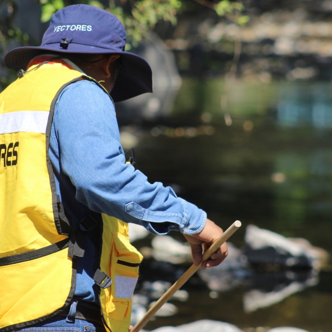Gracias a labores de prevención, Colima acumula más de 20 años sin paludismo: Salud