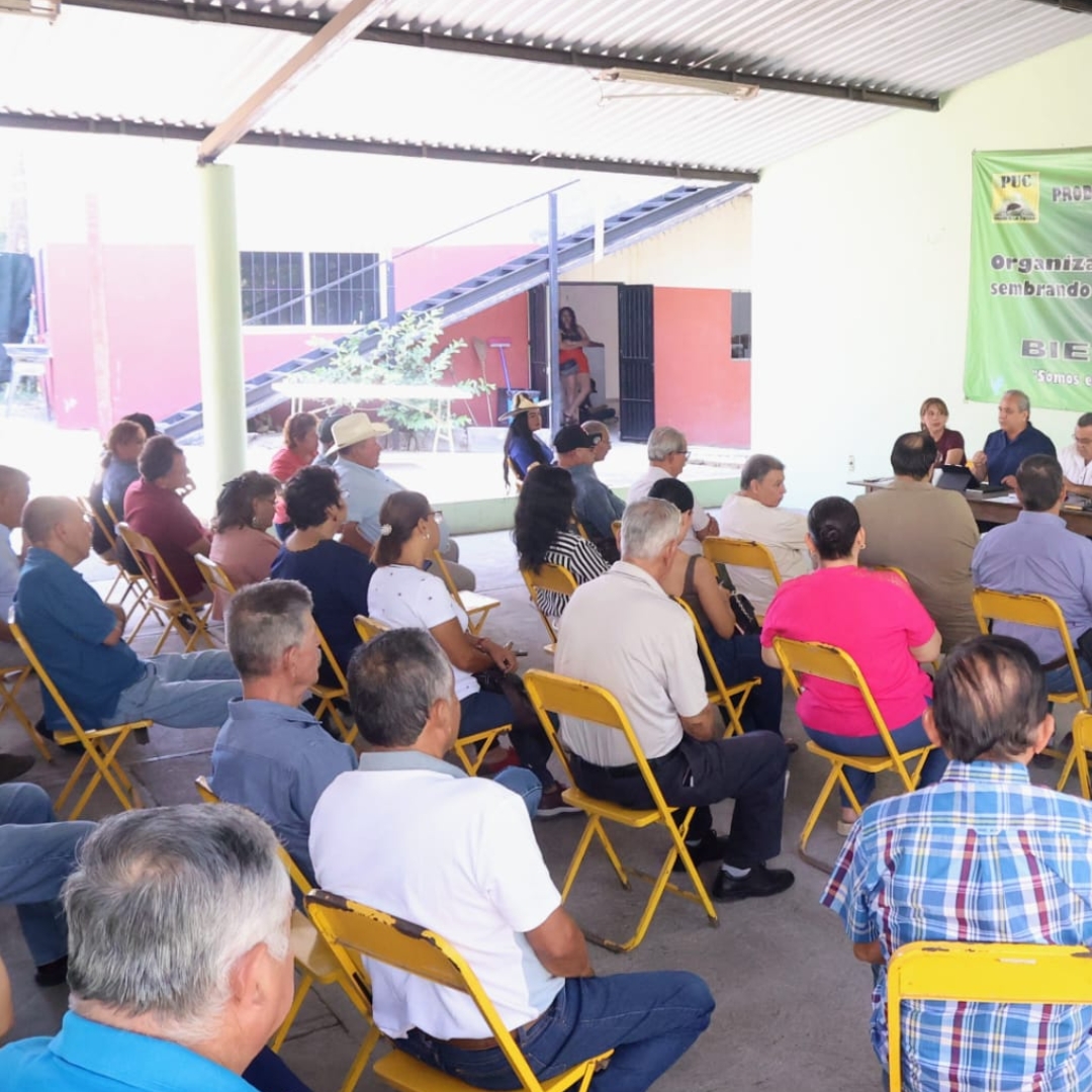 Sedeco y sector productivo impulsan el desarrollo en el estado de Colima