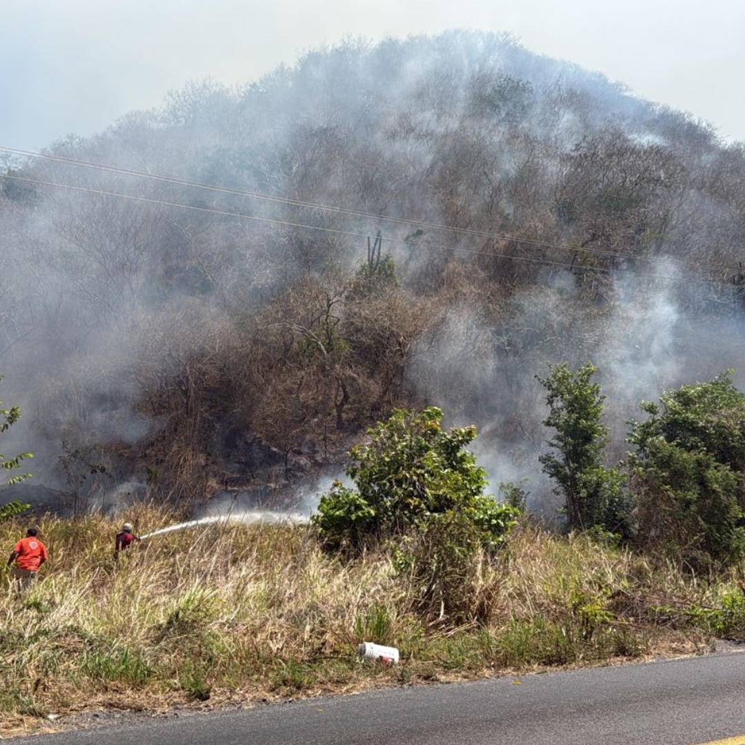 Imades Colima pide prevenir incendios forestales en estiaje; 90% son provocados por actividad humana