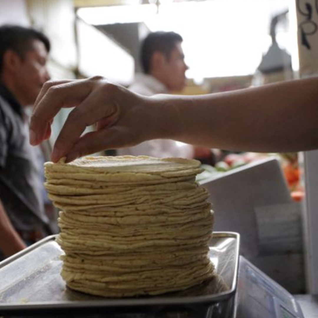 En mayo incrementará precio de la tortilla en Colima entre 3 y 5 pesos