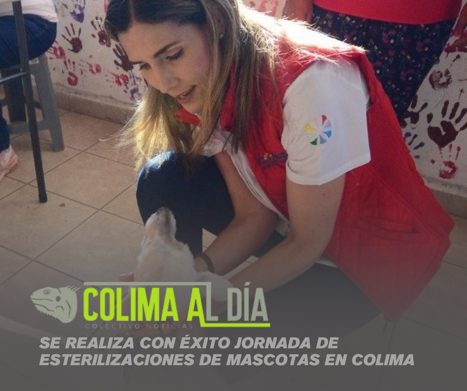 Se realiza con éxito jornada de esterilizaciones de mascotas en Colima
