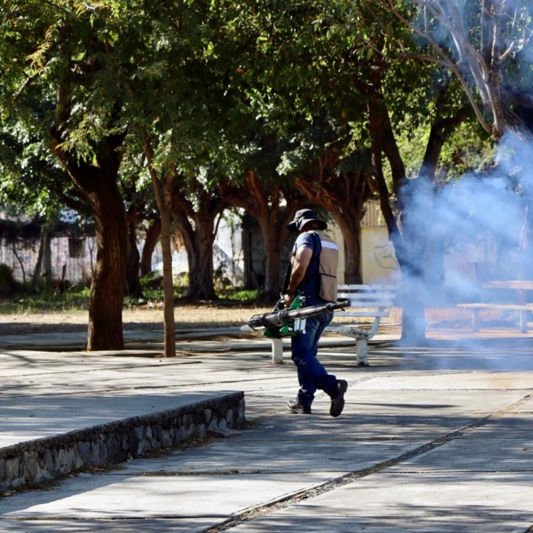 SS: Colima reporta cero casos de dengue y se posiciona entre los estados con menor incidencia